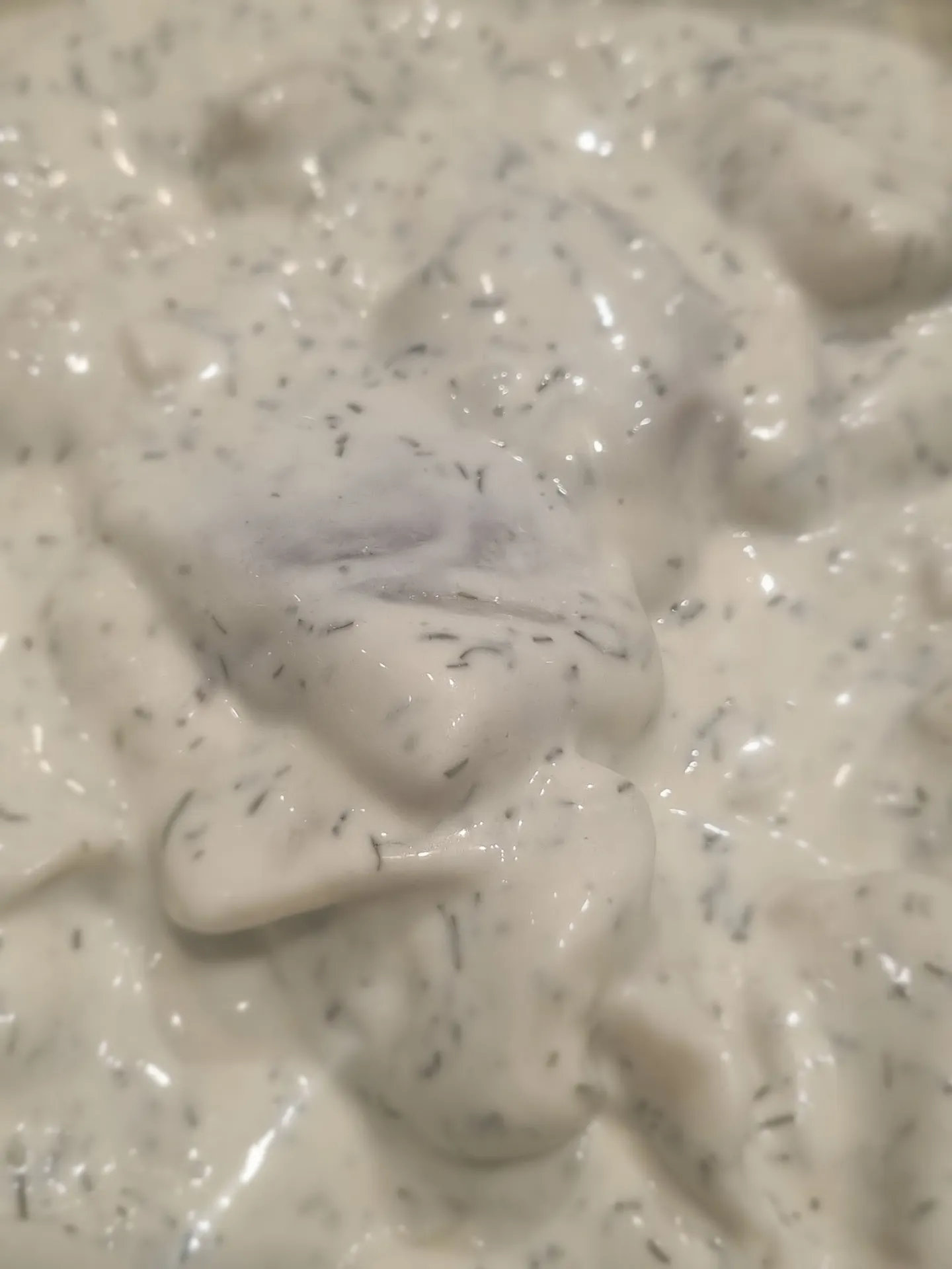 [060] Haringhapjes in Dillesaus