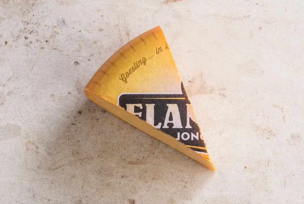 Flandrien jong
