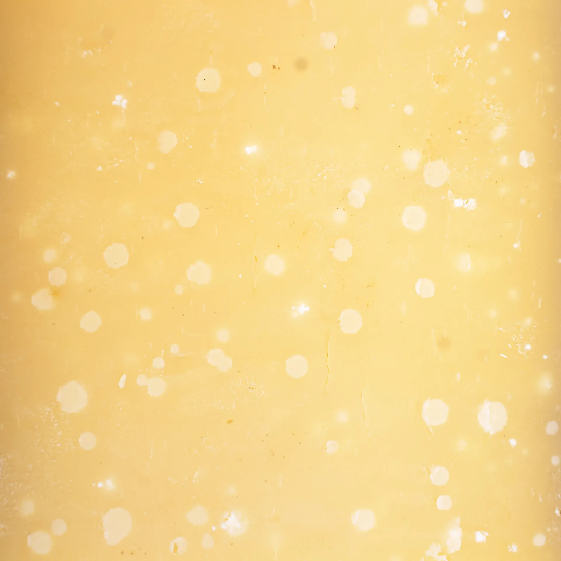 Comté 2024