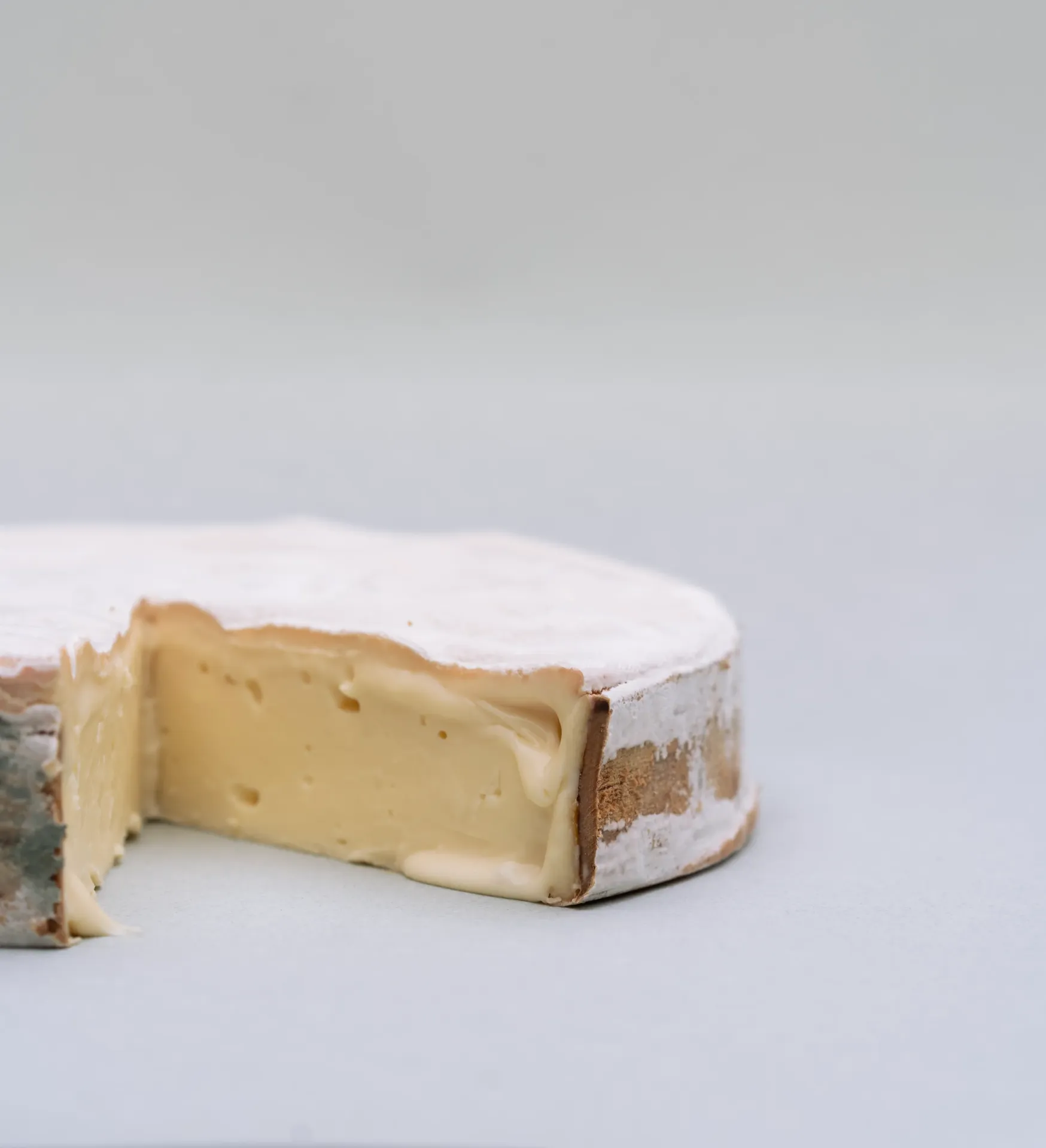 Vacherin Mont d'or Suisse