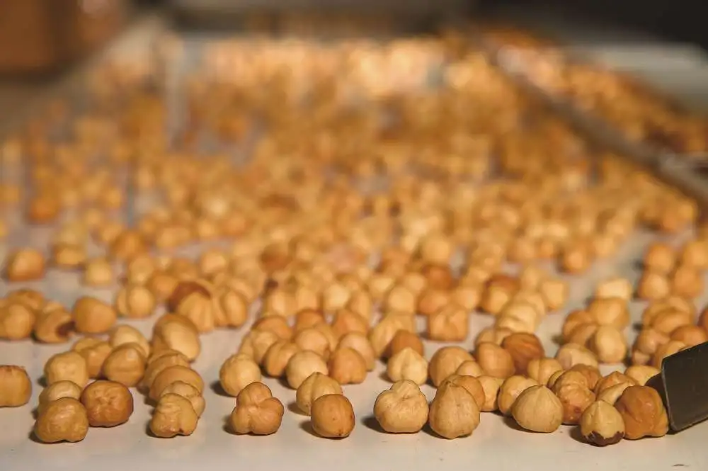 [562] Nocciole tostate Piemonte